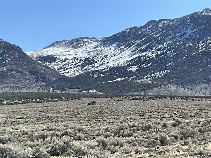 10 Acres of Unspoiled Land : Elko : Elko County : Nevada