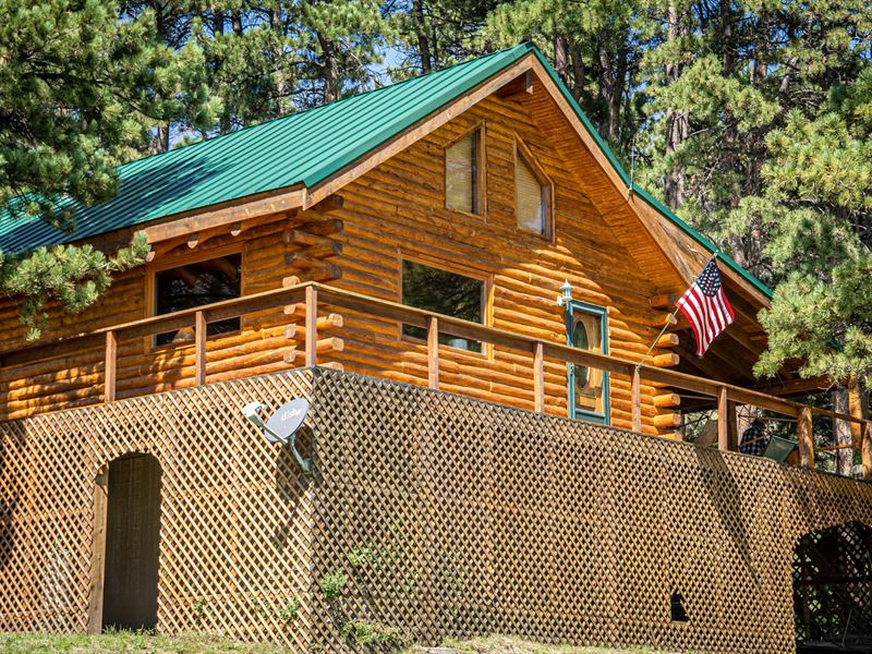 Luman Creek Cabin : Wheatland : Albany County : Wyoming
