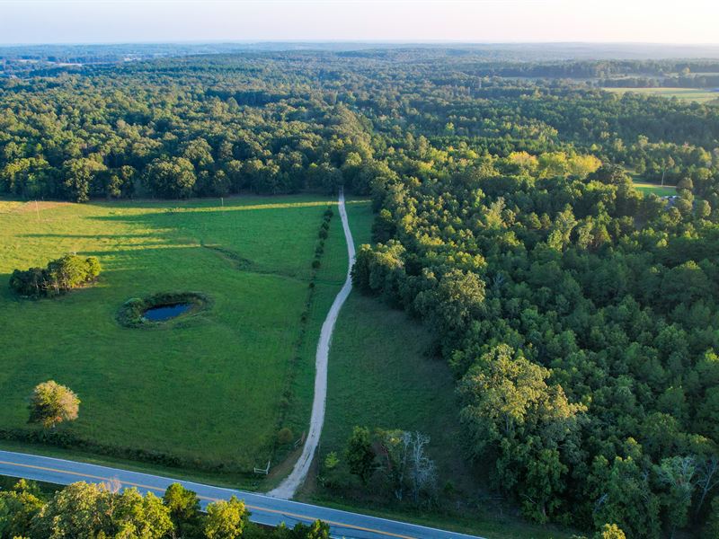 Payne Knob Cabin : West Plains : Howell County : Missouri