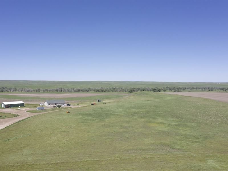 37755 County Road 153 : Agate : Elbert County : Colorado