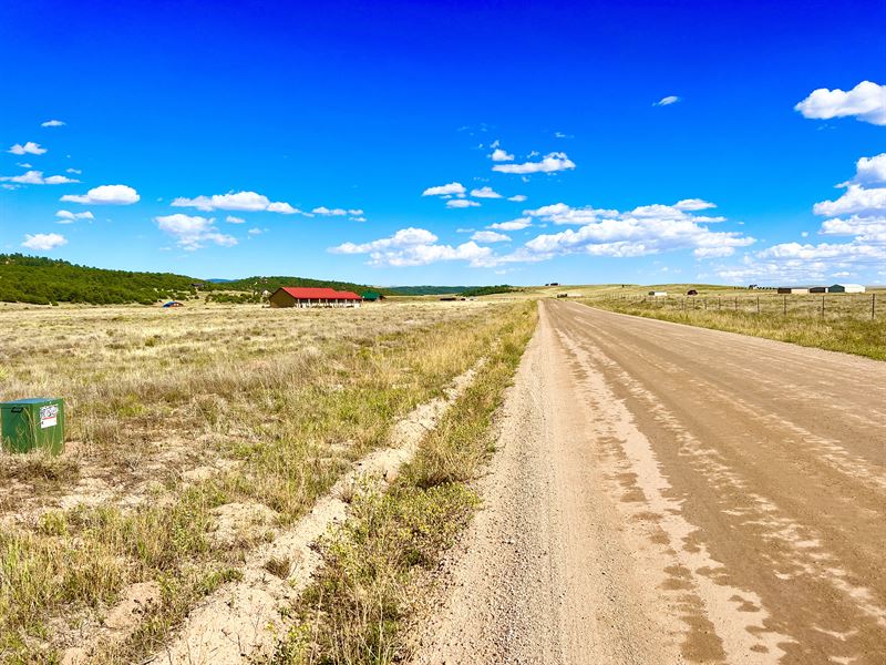 Corner Lot, Power, Near Highway : Westcliffe : Custer County : Colorado