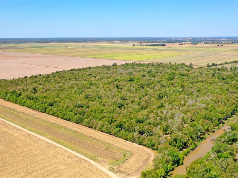 Acreage in Snook, Texas : Snook : Burleson County : Texas