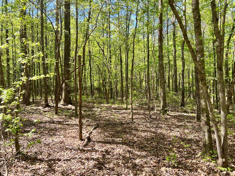 Ellas Place : Wetumpka : Elmore County : Alabama