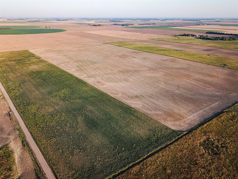 Stafford Cropland Quarter, Farm for Sale in Kansas, 358585 FARMFLIP