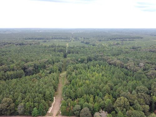 700 Acres Land For Sale Lincoln Par : Simsboro : Lincoln Parish : Louisiana