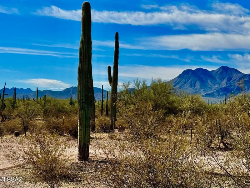 Wonderful Well, Electric, Mtns : Marana : Pima County : Arizona