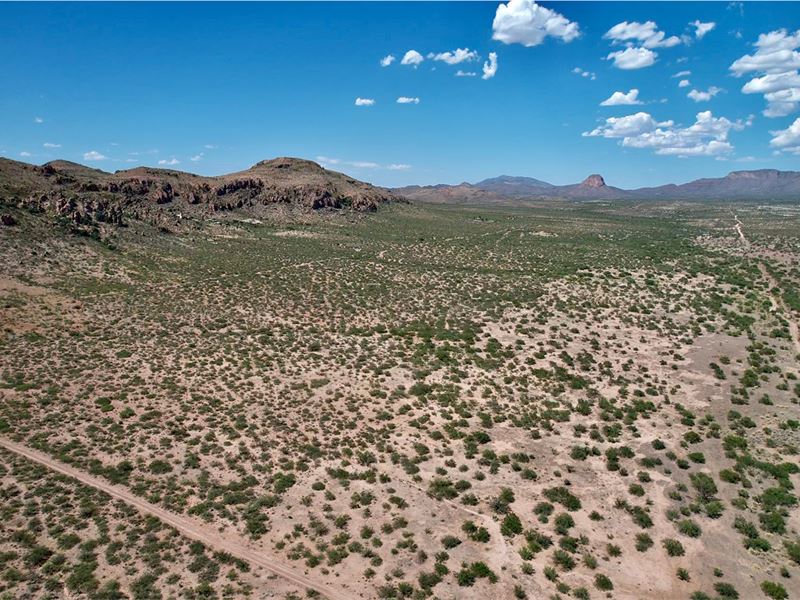 85 Stunning Acres, Take It All : Douglas : Cochise County : Arizona