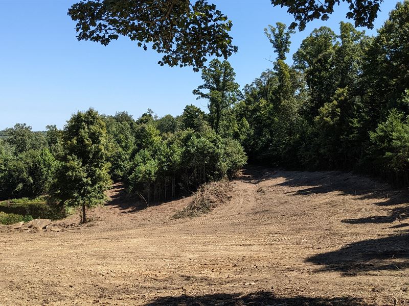 Meigs County, Ohio Hunting Land, Farm for Sale in Ohio, 358696 FARMFLIP