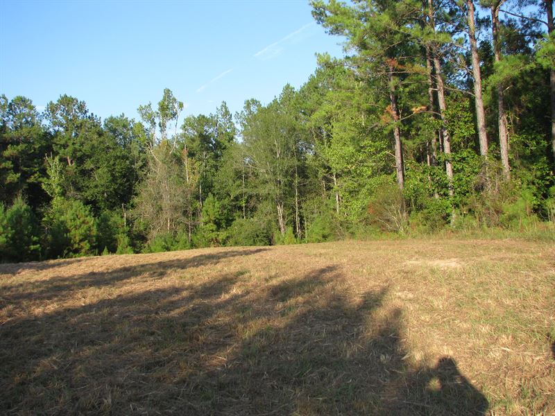 Hunting Retreat with Stream : Uriah : Monroe County : Alabama