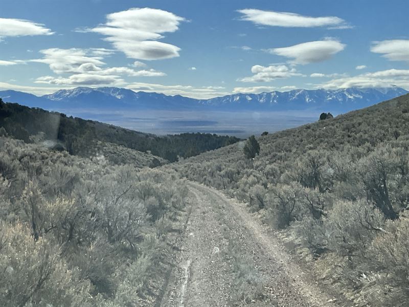 Hidden Gem of Natural Beauty : Elko : Elko County : Nevada