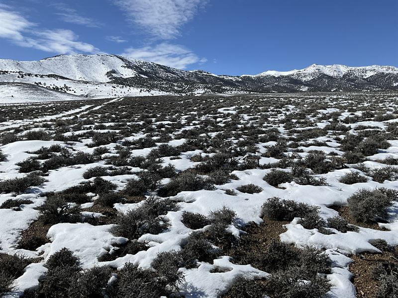 The Antidote to Urban Chaos : Montello : Elko County : Nevada