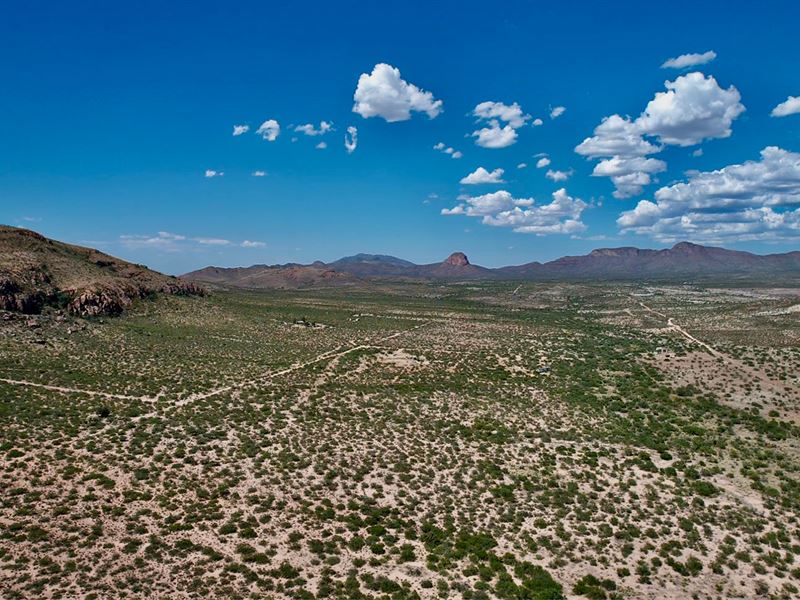 20 or 45 Acres of Beautiful Ranges : Douglas : Cochise County : Arizona