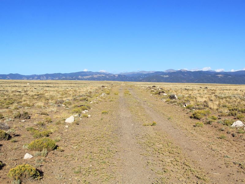 5 Acres, Mountain Magic : Blanca : Costilla County : Colorado