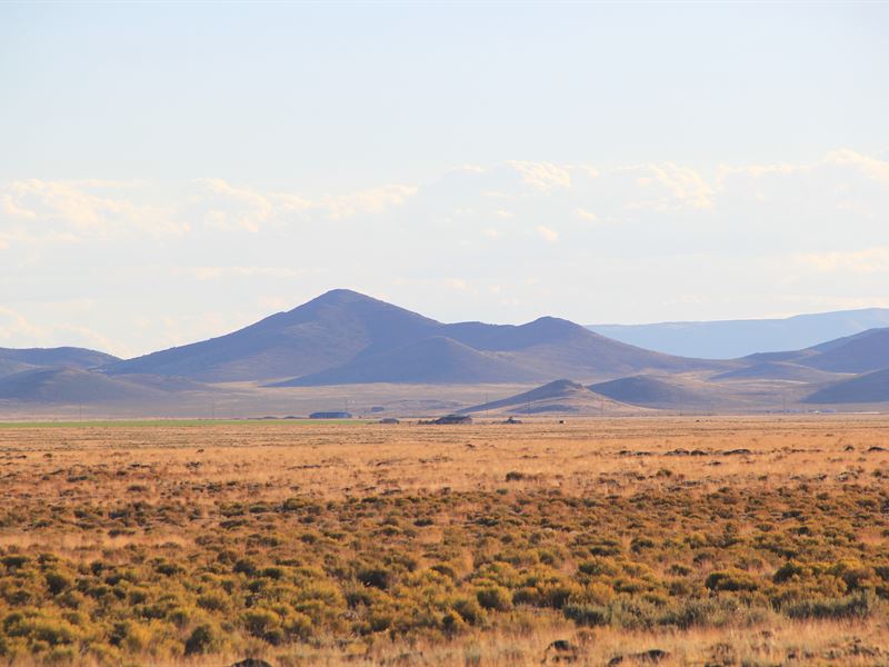 Unleash Your Wild, Costilla County : Blanca : Costilla County : Colorado