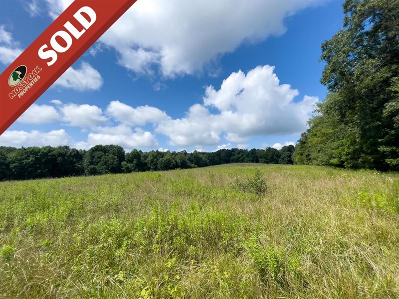 Daniels Rd, 41 Acres, Knox County : Mount Vernon : Knox County : Ohio