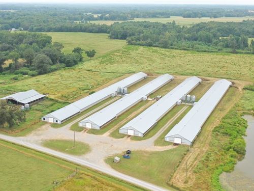 Stewart Farm : Dawson : Dekalb County : Alabama