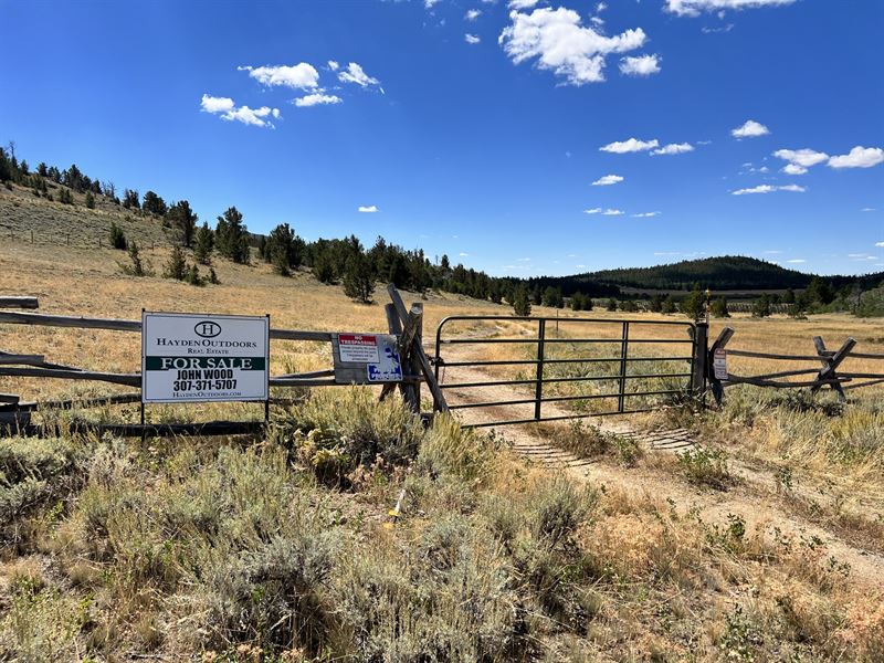 Dunbar Meadow at Louis Lake Road : Lander : Fremont County : Wyoming