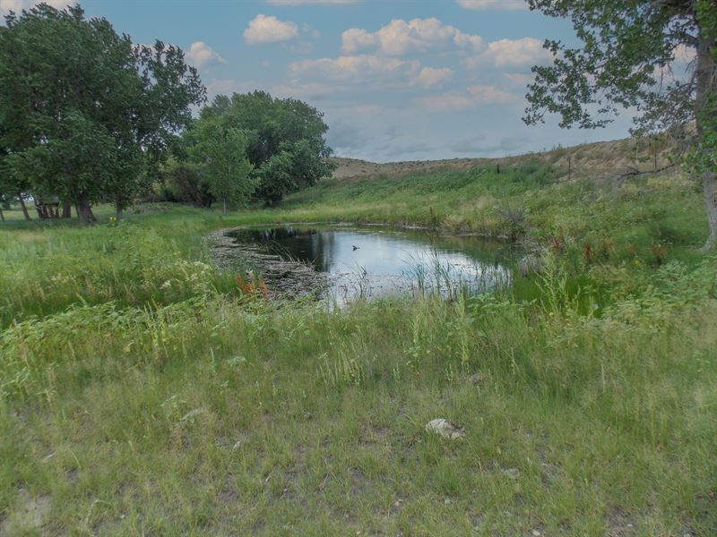 Acreage for Sale Near Boone, CO : Boone : Pueblo County : Colorado
