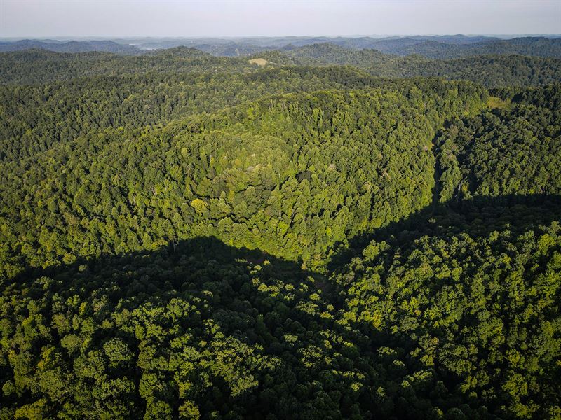 Beautiful 90 Acres with Cabin : Weston : Lewis County : West Virginia