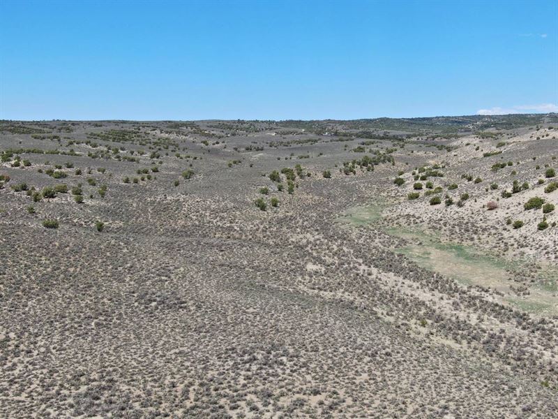 Ditch The 9-5, Embrace The Wild : Montello : Elko County : Nevada