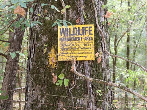 La, Caldwell 11.35 Acres : Columbia : Caldwell Parish : Louisiana