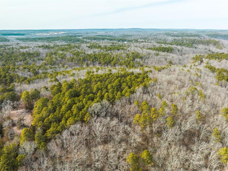 Paddlewheel Springs-Tract 16B : Roby : Texas County : Missouri
