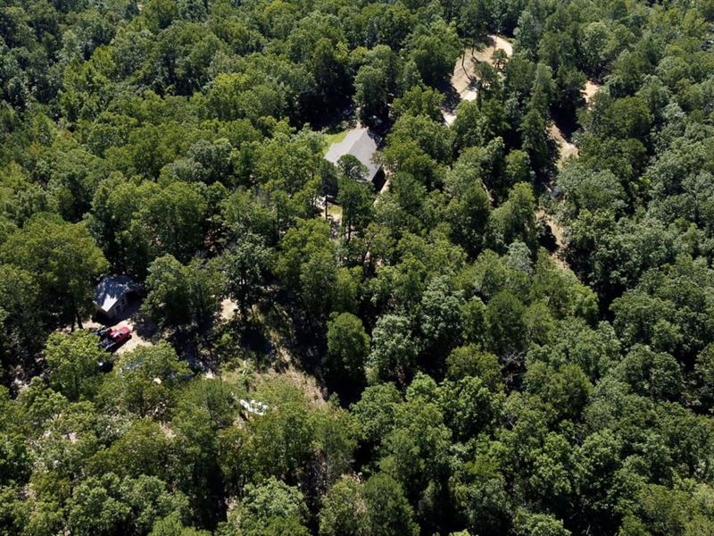 Monarch Ridge Survivalist : Yellville : Marion County : Arkansas