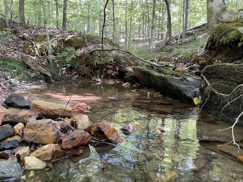 20.84 Acres on Coley Creek Road : Alexander City : Tallapoosa County : Alabama