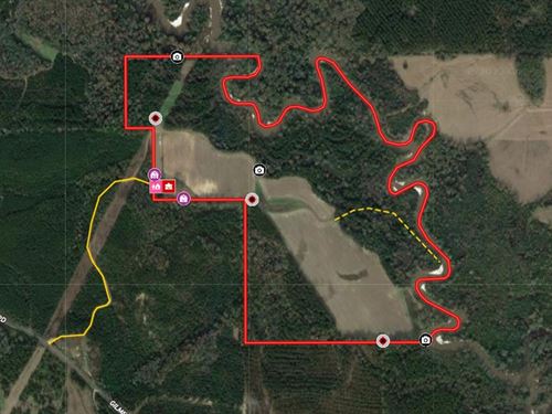 113 Acres With a Home in Covington : Taylorsville : Covington County : Mississippi