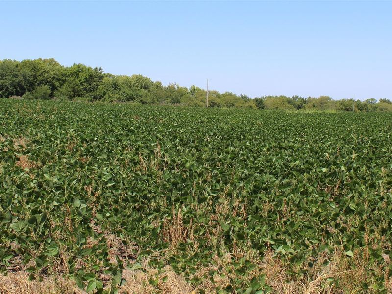 Versatile 40 Acres M/L : Quenemo : Osage County : Kansas