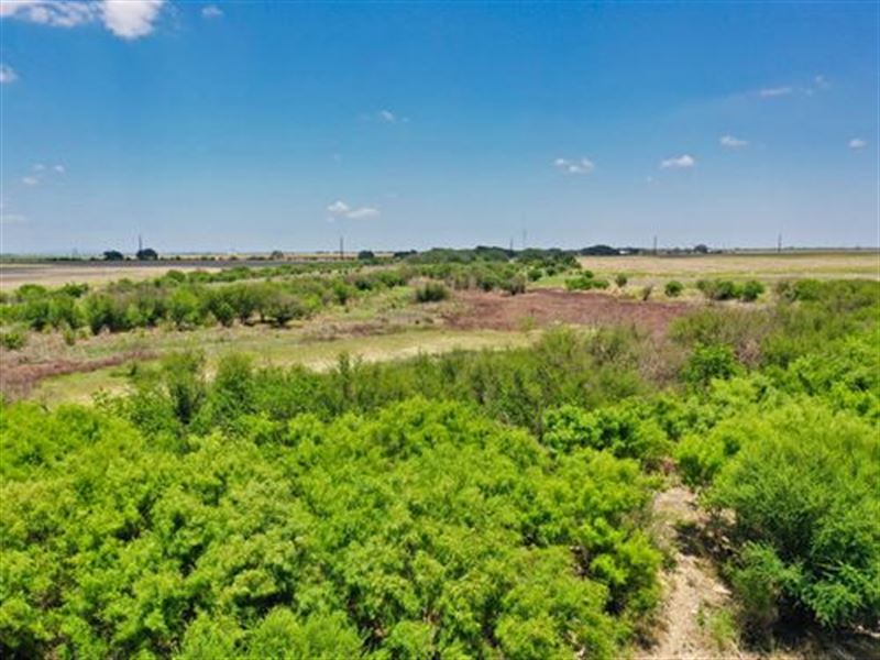 30 Acres for Sale San Antonio, Farm for Sale in Texas, 358995 FARMFLIP