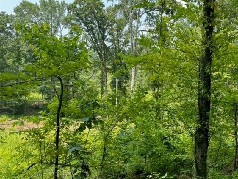 100 Acres Unrestricted Partially : Decatur : Meigs County : Tennessee