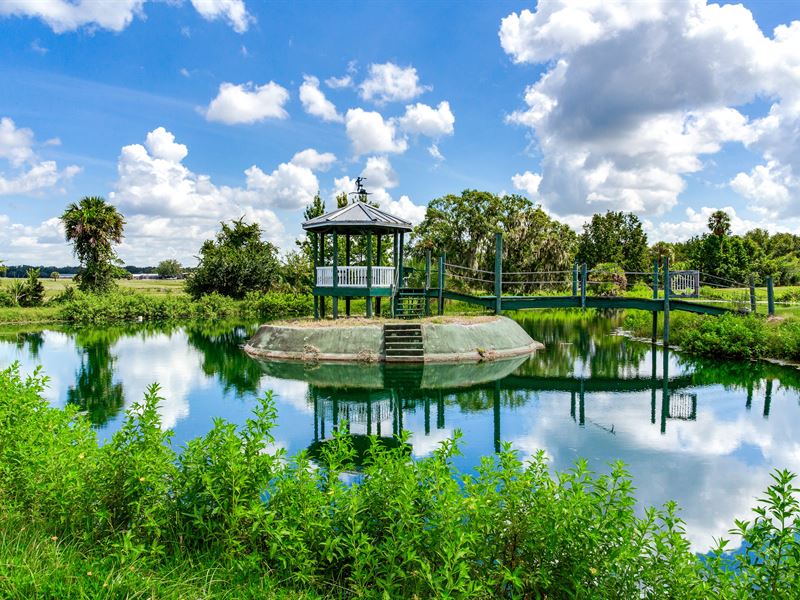 Mizelle Creek Estate Lot 1 : Lithia : Hillsborough County : Florida