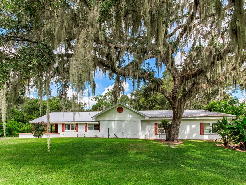 Mizelle Creek Estate Lot 2 : Lithia : Hillsborough County : Florida