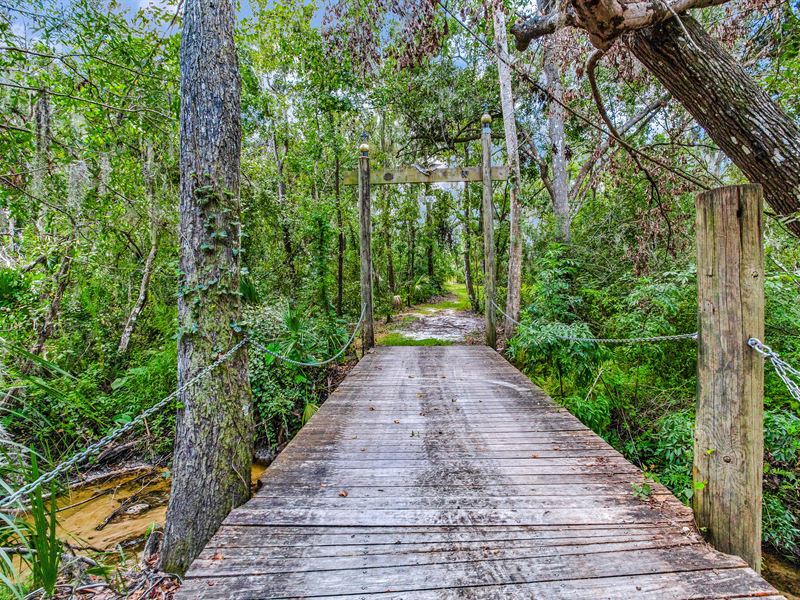 Mizelle Creek Estate Lot 3 : Lithia : Hillsborough County : Florida