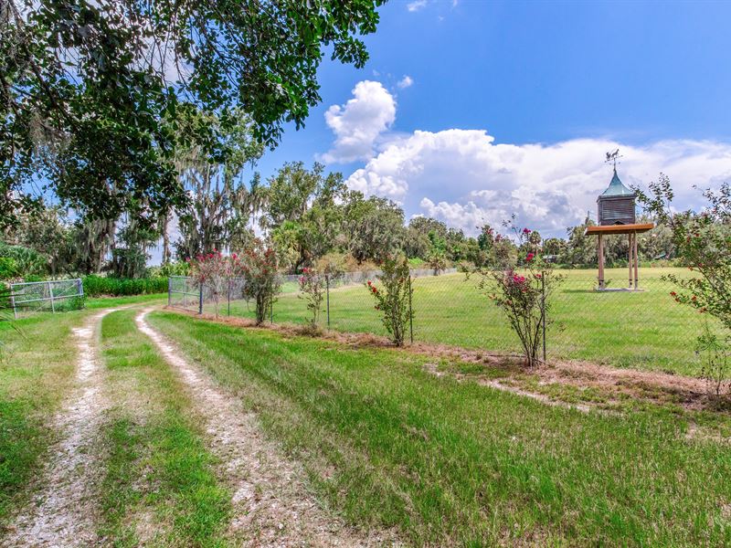 Mizelle Creek Estate Lot 5 : Lithia : Hillsborough County : Florida