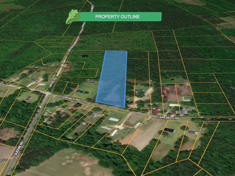 Lot for Sale in Serene Countryside : Moncks Corner : Berkeley County : South Carolina