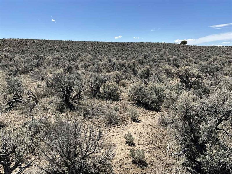 Build Your Dream in Elko County, NV : Montello : Elko County : Nevada