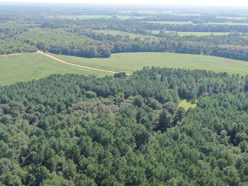 Wilcox County Gregory Farm : Pitts : Wilcox County : Georgia