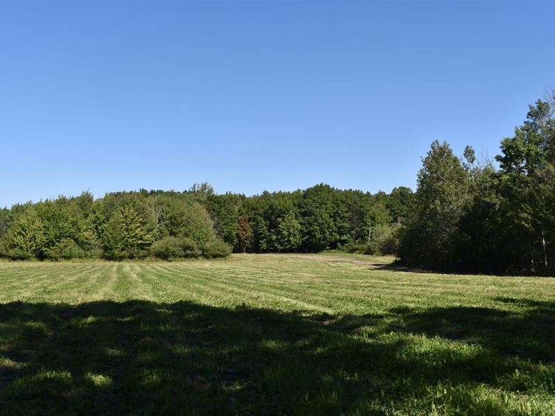Hunter's Hidden Treasure : Perrysburg : Cattaraugus County : New York