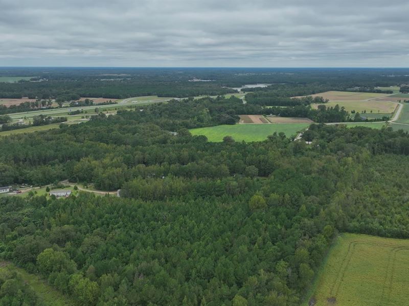 10 Acres in Robeson County, NC : Rowland : Robeson County : North Carolina