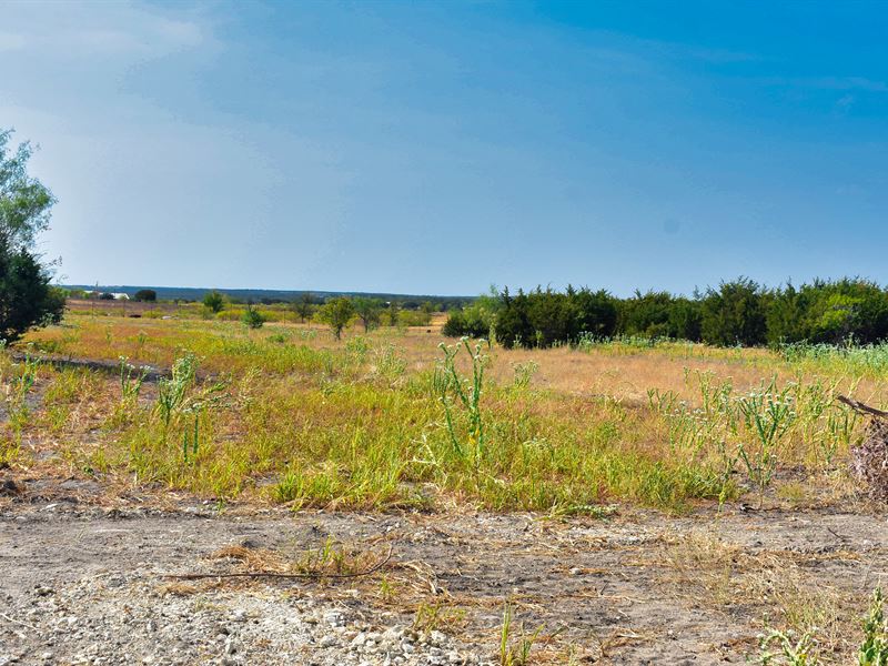 5 Acres for Sale North Of Austin, Farm for Sale in Texas, 359117