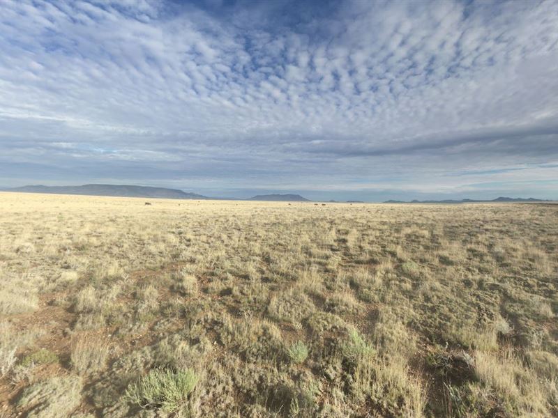 Own 5 Acres of Colorado Heaven : Colorado : Costilla County : Colorado