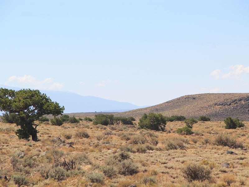 Unwind in Nature's Playground : Fort Garland : Costilla County : Colorado