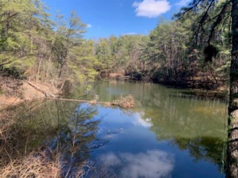 11 Acres with 2, Acre Pond for Sale : Clay City : Clay County : Indiana