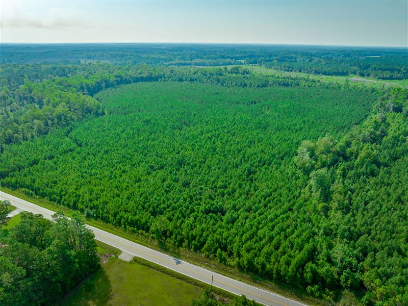 IP Boyd 4 Tract : Loris : Horry County : South Carolina