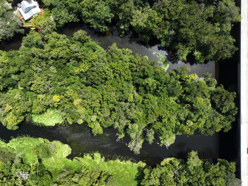 Wekiva River Waterfront Lots : Sanford : Seminole County : Florida