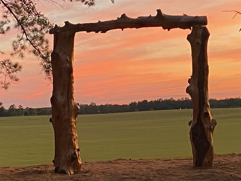 The Farm At Oak Hill : Butler : Taylor County : Georgia