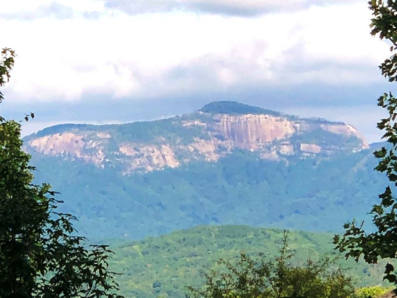 56.35 Acres, Highway 135 : Pickens : Pickens County : South Carolina