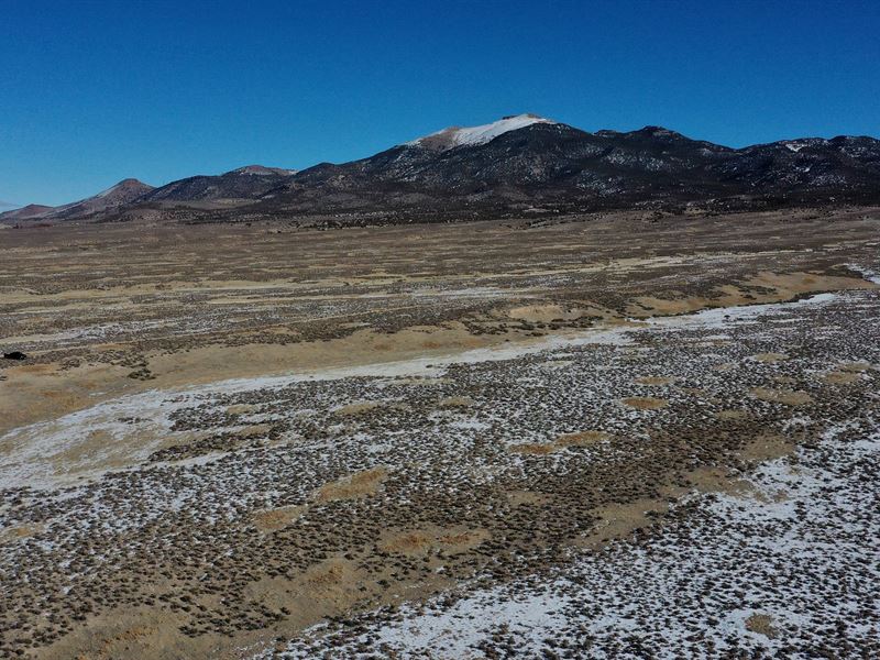 Ride Free, Live Free : Montello : Elko County : Nevada